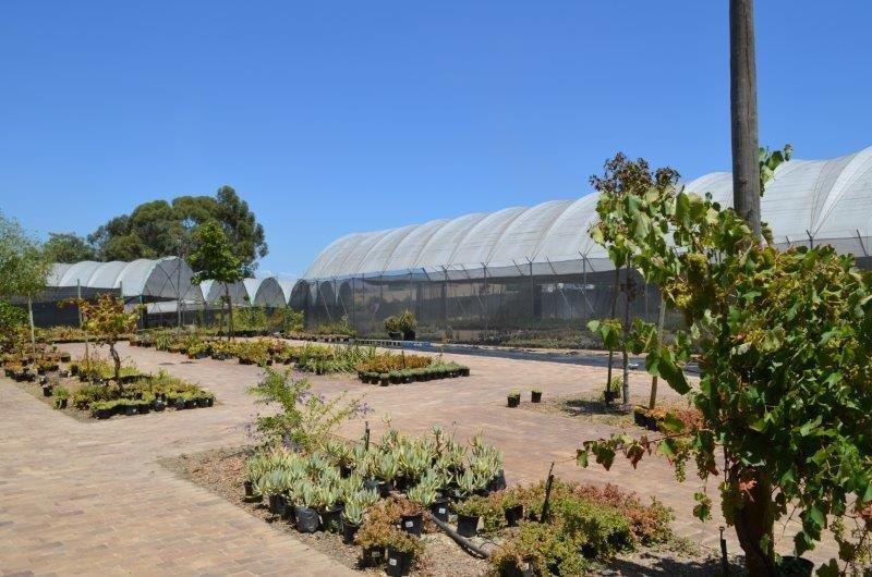 4 Bedroom Property for Sale in Durbanville Western Cape